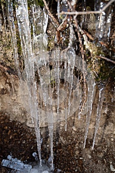 Icicles in the nature in Davos in Switzerland