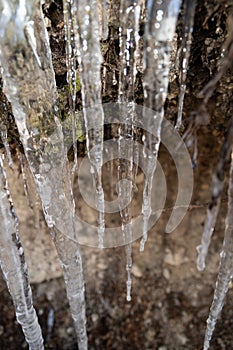 Icicles in the nature in Davos in Switzerland