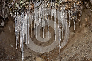 Icicles in the nature in Davos in Switzerland