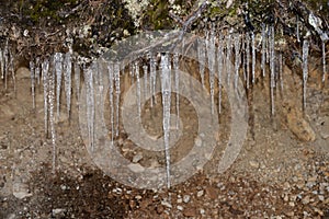 Icicles in the nature in Davos in Switzerland