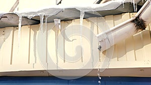 Icicles on the roof of the building and water flows from the drain pipe. Spring thaw.