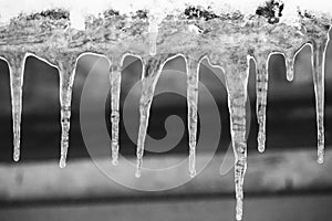 Icicles on roof closeup black and white. Winter weather concept. Froze and ice background. Melting icicles monochrome.