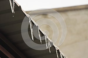 icicles on the roof top