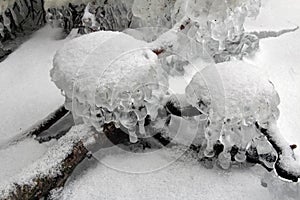 Icicles on the snag