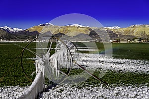 Icicles in the Spring