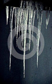 Icicles spring