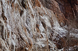 Icicles in Zion National Park in Winter