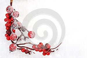 Icing pine branch and branch with red rowanberries and gift box with snowflakes and christmas trees and reindeerw and red matt bow photo