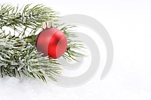 Icing pine branch with cone and red matt christmas ball on snow photo