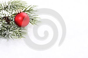 Icing pine branch with cone and red matt christmas ball on snow photo