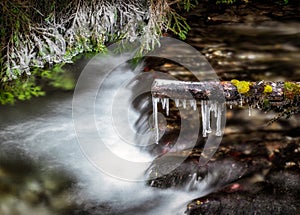 Icing on wood at stream bed. Flowing water