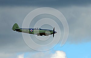 Supermarine Seafire Navy Wings aircraft in flight