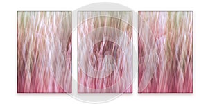 ICM Abstract image of a plant in a Triptych Format