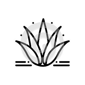 Black line icon for Agave, plant and cactus