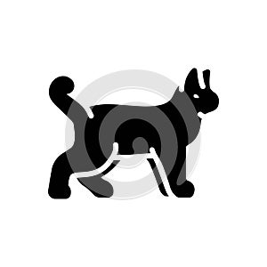 Black solid icon for Animal, cattle and beast