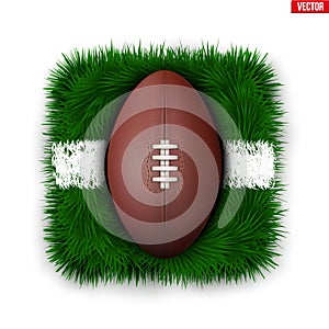 Icon Australian rules football field ball on grass