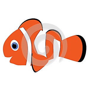 icon baby orange striped clown fish on a white background. vector illustration