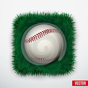 Icon Baseball ball in green grass. Vector.