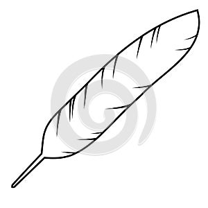 Icon of the bird feather