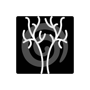 Black solid icon for Branches, leaf and plant