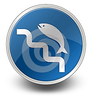 Icon, Button, Pictogram Fish Ladder