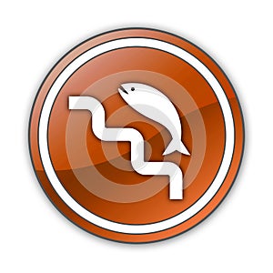 Icon, Button, Pictogram Fish Ladder