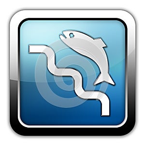 Icon, Button, Pictogram Fish Ladder