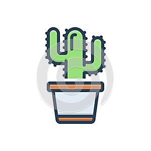 Color illustration icon for Cactus, carnival and desert