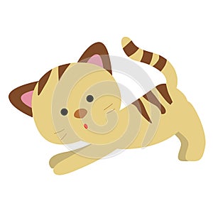 icon cat kitten in cartoon style on white background. pattern for decoration. vector illustration