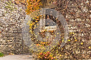 Icon on church wall at Kalemegdan fortress in Belgrade