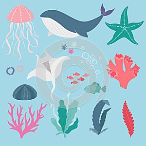 Icon collection.Vector illustration - beautiful, sea creatures. Icon collection.