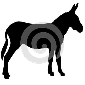 Icon of donkey silhouette. Black illustration of farm animal
