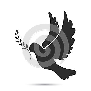 Icon of dove flying with olive twig in its beak