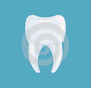 Icon healthy white root tooth. Vector illustration