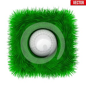 Icon Hockey ball on green grass.