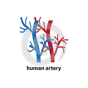 Icon of human blood arteries. Simple vector illustration on a white background