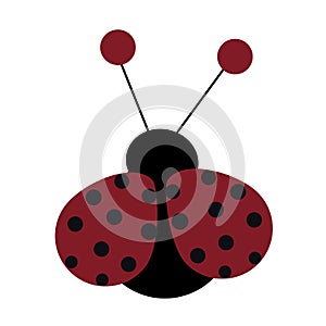 Icon ladybug in cartoon style on white background. pattern
