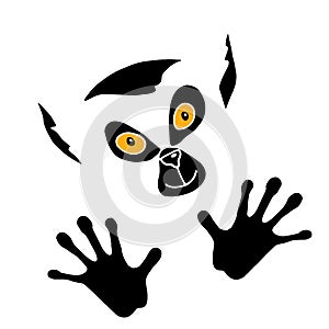 Icon logo lemur portrait on white