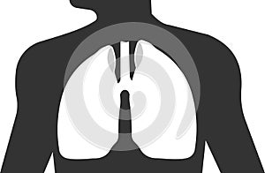 Icon of the lungs of the human respiratory system.