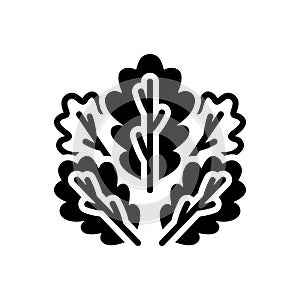 Black solid icon for Oaks, leaf and tree
