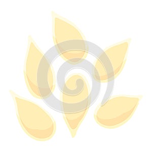 Icon of oil seeds. Vector. Flat style orange icon