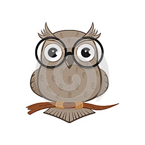 Owl with glasses photo