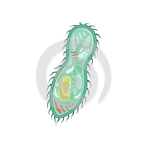 Icon of paramecium caudatum. Specie of unicellular organism. Biology photo