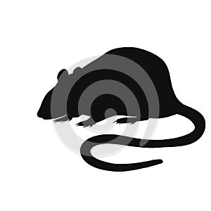 Icon of rat silhouette. Black illustration of rodent
