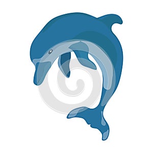 Icon realistic dolphin, water park, entertainment, flat design