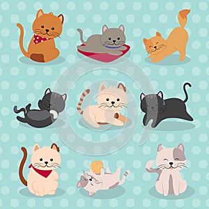 icon set cats