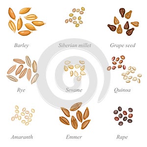 Icon set of cereal grains part 2