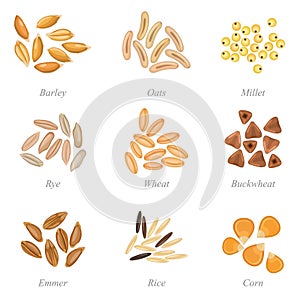 Icon set of cereal grains part 3