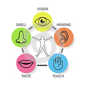 Icon set of five human senses: vision, smell, hearing, touch, ta