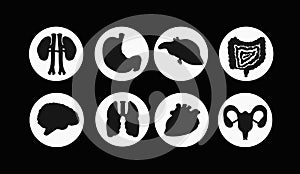 Icon set of human internal organs. Illustration in black and white style isolated on a white background. Heart, brain, lungs,